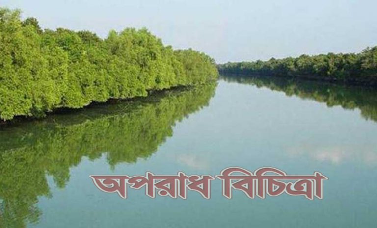 লাল শ্রেণিভুক্ত ২৪টি প্রতিষ্ঠান সুন্দরবনের জন্য হুমকি