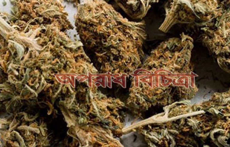 সাভারে ডিবি’র অভিযানে ৪০ কেজি গাঁজা উদ্ধার, নারীসহ আটক ২
