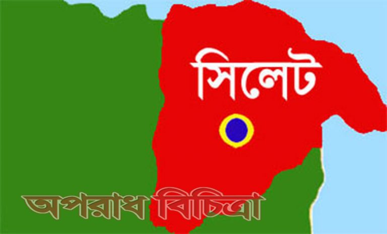 গলা কেটে ও বালিশচাপা দিয়ে হত্যা
