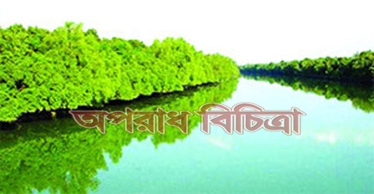 হুমকির মুখে পড়েছে ম্যানগ্রোভ এই সুন্দরবনের জীববৈচিত্র্য