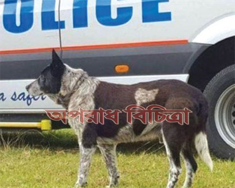 ম্যাক্সই বাচালো তিন বছরের শিশুর প্রান