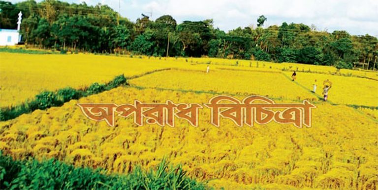 ধান চাষে সফলতা কৃষকের মুখে হাসি