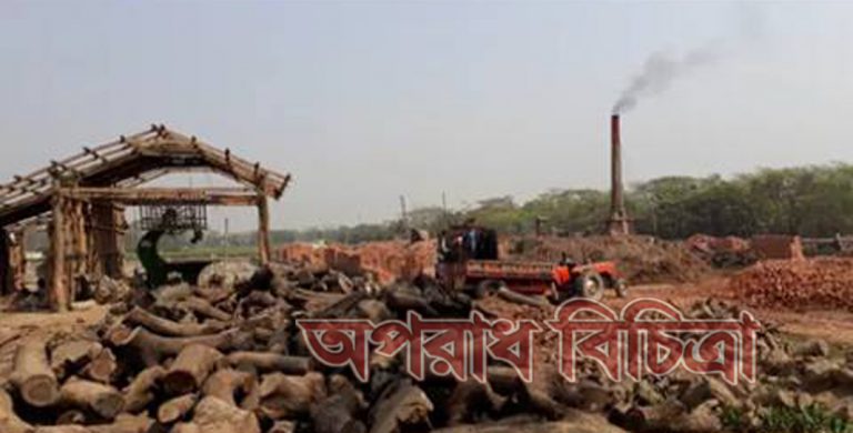 অবৈধ ইটভাটা : প্রাকৃতিক পরিবেশের বিপর্যয়