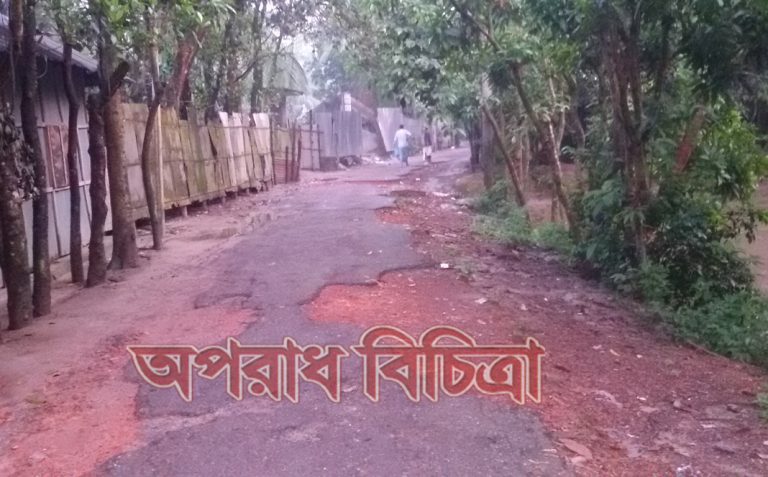 নাঙ্গলকোট -শ্রীফলিয়া-বাঙ্গড্ডা সড়কটির বেহাল দশা, যেন দেখার কেহ নেই!