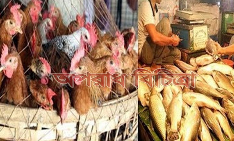 অস্থির ব্রয়লার মুরগির বাজার ও মাছের বাজার