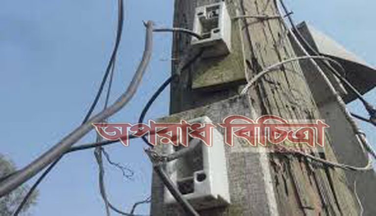 পল্লী বিদ্যুতের নতুন সংযোগ দিতে গিয়ে বিদ্যুৎস্পৃষ্ট হয়ে নিহত ৩