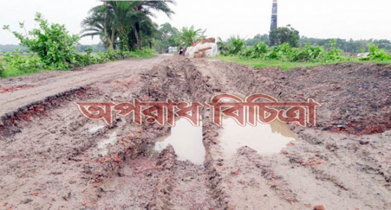 সড়কের এই জরাজীর্ণ ও করুণ দশা দেখার কী কেউ নেই
