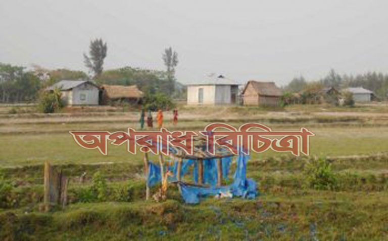 ভূমিদস্যুদের কবলে দুই কোটি বিঘা খাস জমি