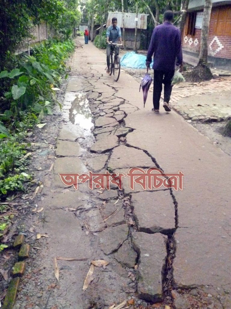 রাজাপুরে টিএনটি সড়কের বেহাল দশা