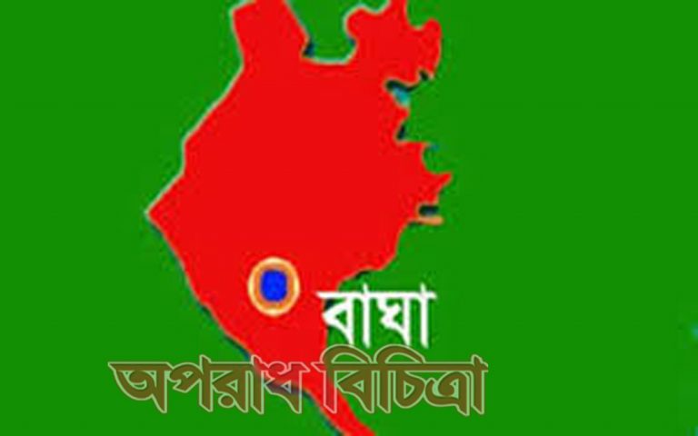 রাজশাহীর বাঘায় মোটর সাইকেল চালকের হেলমেট ও ড্রাইভিং লাইসেন্স না থাকায় ভ্রাম্যমান আদালতে জরিমান আদায়
