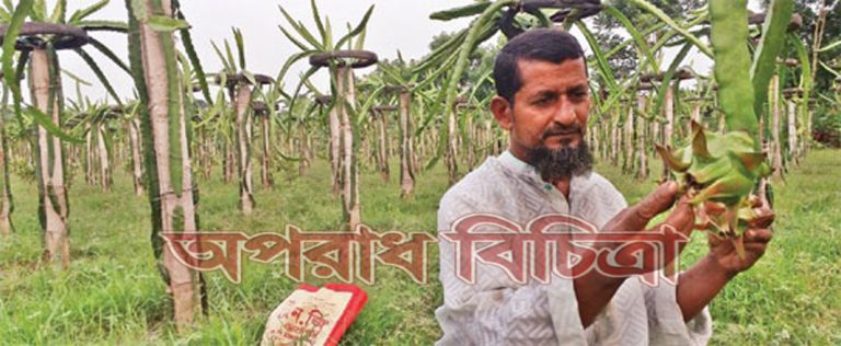 গাছে ফল আসতে শুরু করায় হতাশা কাটিয়ে আশার আলো দেখছেন কৃষক