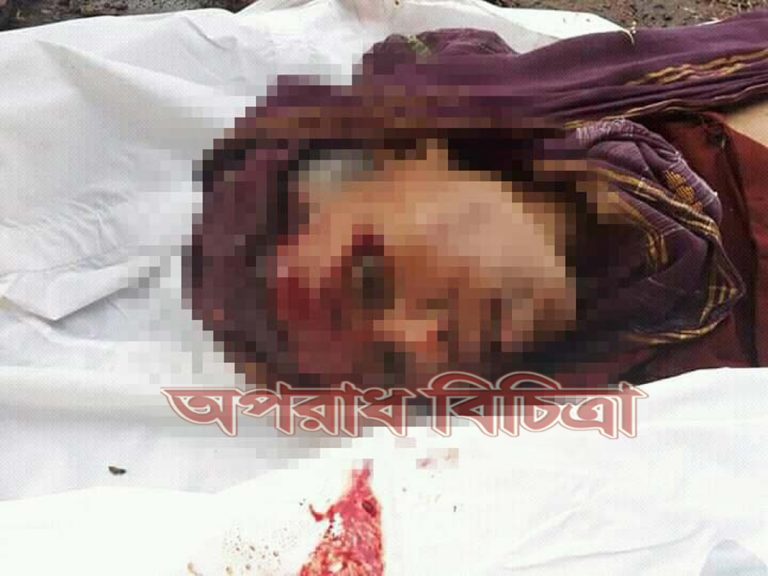 গাড়ির চাপায় এক পথচারী বৃদ্ধা নিহত