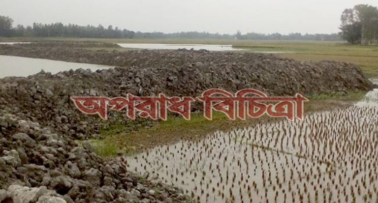 আওয়ামীলীগ নেতা ভূমিদস্যু সরকারকে বৃদ্ধাঙ্গুলি দেখিয়ে জমি দখল করে পুকুর খনন