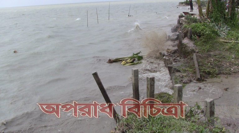 রামগতি ও কমলনগরে মেঘনার রোষ এক মাসে বিলীন হাজার বাড়ি
