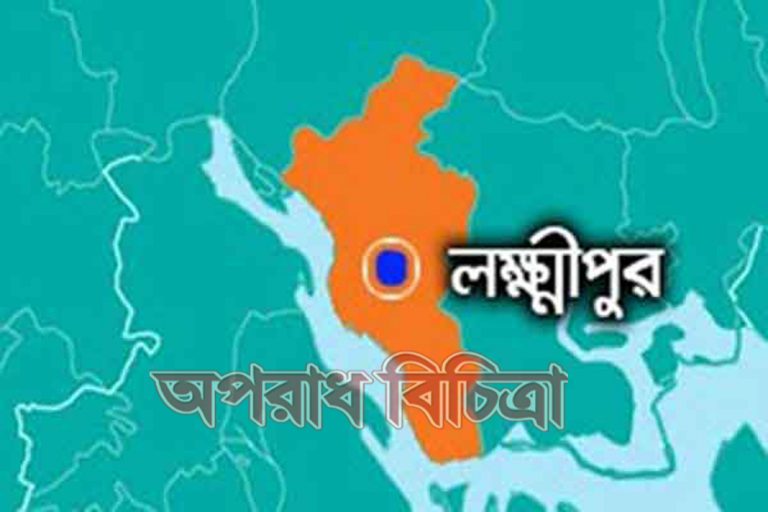 লক্ষ্মীপুরে সন্ত্রাসী হামলায় নারী-পুরুষসহ আহত ১০