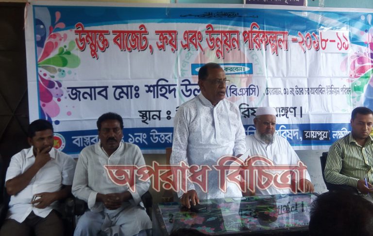 উত্তর চর আবাবিল ইউপি রায়পুরে উন্মুক্ত বাজেট ও উন্নয়ন পরিকল্পনা অনুষ্ঠিত