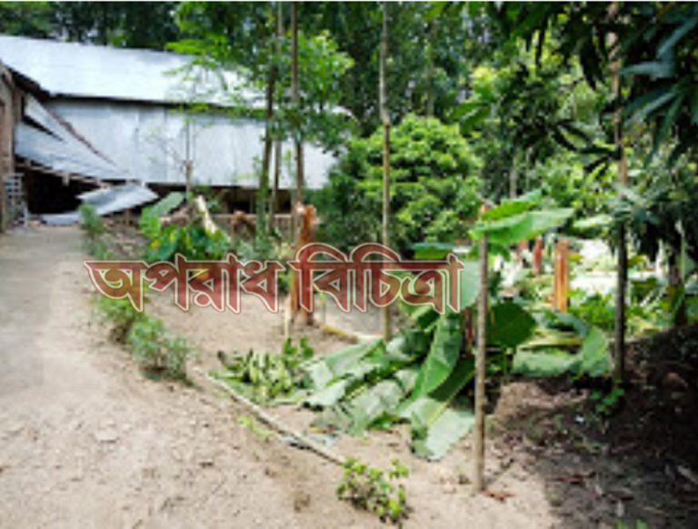 বাঘায় প্র‌তিপ‌ক্ষের শত্রুতায় প্রান গেল গা‌ছের !