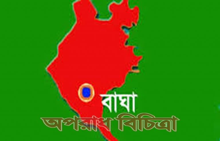 রাজশাহীর বাঘায় জাতীয় মৎস্য সপ্তাহ উপলক্ষ্যে সংবাদ সম্মেলন
