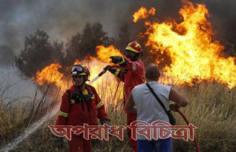 ভয়াবহ দাবানলে নিহত ৫০