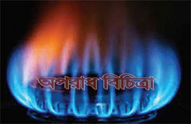 গ্যাসের দাম বাড়বে শুধুমাত্র শিল্পখাতে