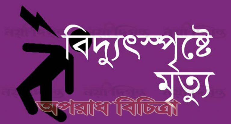 বিদ্যুৎস্পৃষ্ট হয়ে ছয়জন নিহত