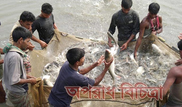 মৎস্য উৎপাদনে চীন ও ভারতের পরেই বাংলাদেশ