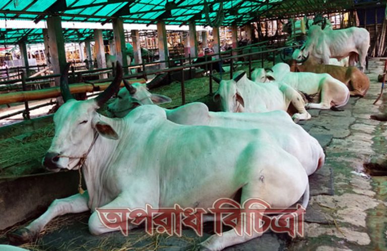 কৃষির উপখাত প্রাণিসম্পদে বৈপ্লবিক সাফল্য