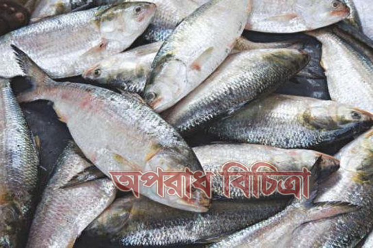 মাছের দেশ বাংলাদেশ