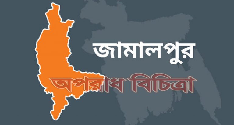 ইজিবাইকের ধাক্কায় বৃদ্ধ পথচারী নিহত