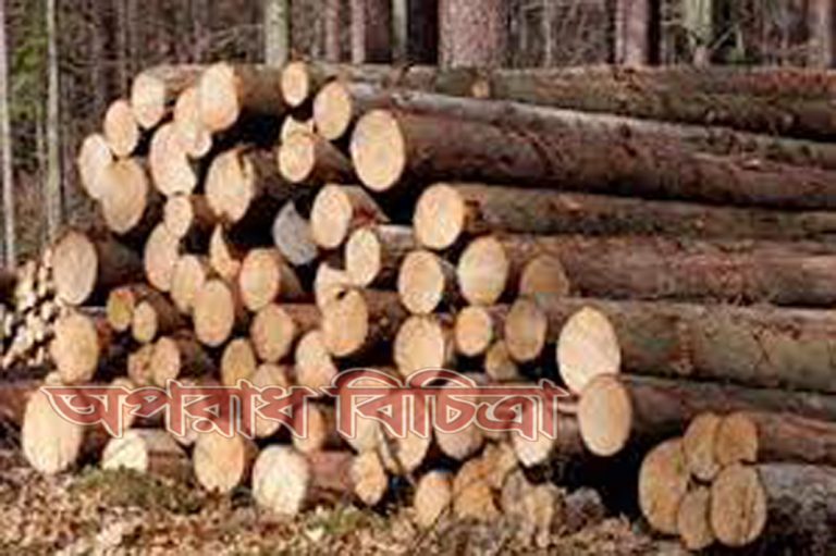 ১ হাজার ৯১৪ দশমিক ৬৪ ঘটফুট কাঠ চোরাই কাঠসহ ৯ জন আটক