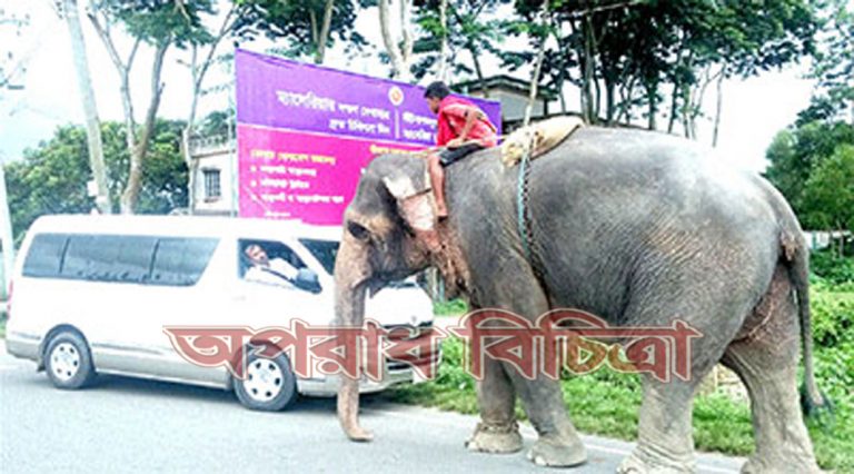 অভিনব কৌশলে হাতি দিয়ে  চাঁদাবাজি