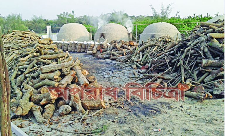 পরিবেশ দুষন করছে এসব অবৈধ চুল্লি