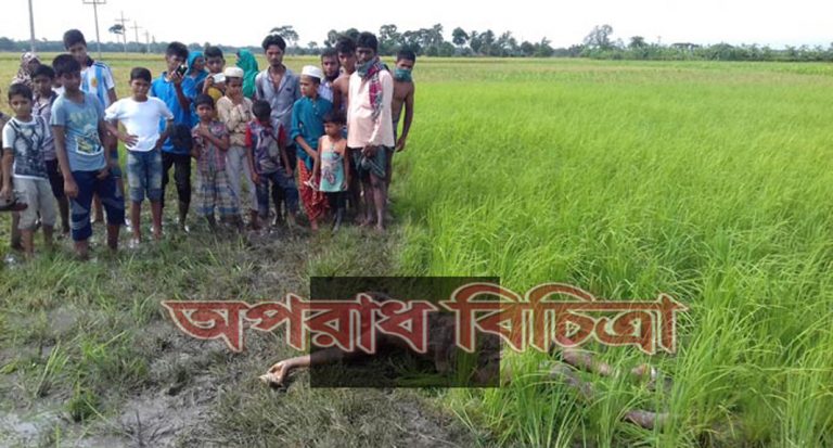 নিখোঁজের তিন দিন পর হকারের লাশ উদ্ধার