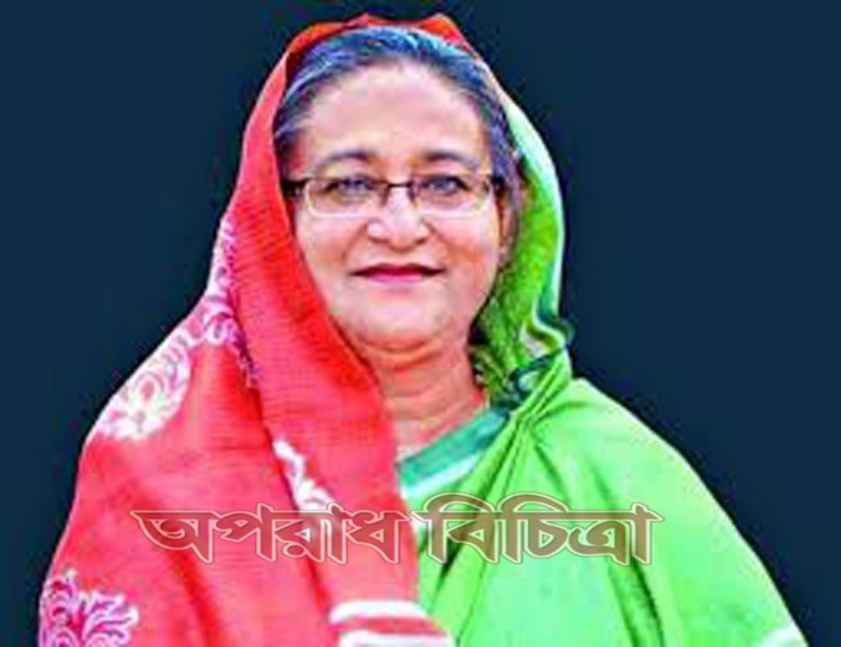 আ.লীগ ভোটের জন্য রাজনীতি করে না : প্রধানমন্ত্রী