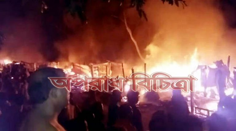 ভয়াবহ অগ্নিকাণ্ডে ২২টি দোকান পুড়ে ছাই