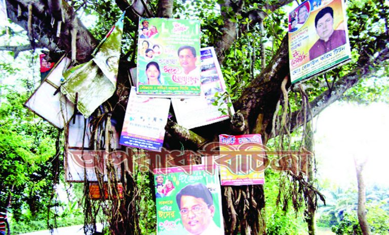 নির্বাচন ঘিরে মনোনয়ন প্রত্যাশীদের অসচেতনতা