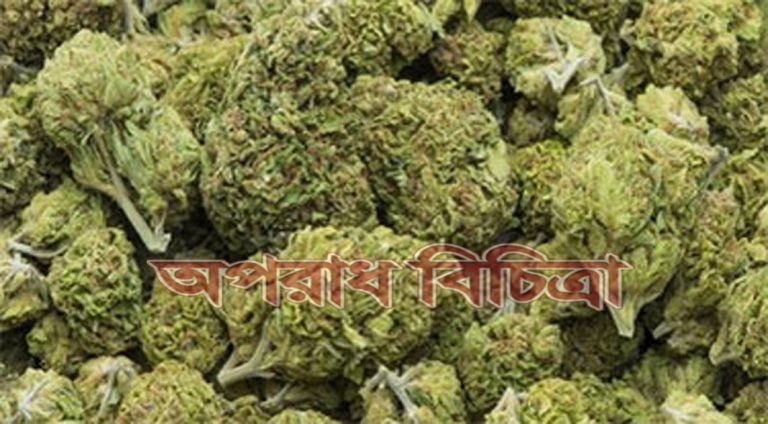 বিমানবন্দর থেকে ১৬০ কেজি ইথোপিয়ান গাঁজা জব্দ করা হয়েছে