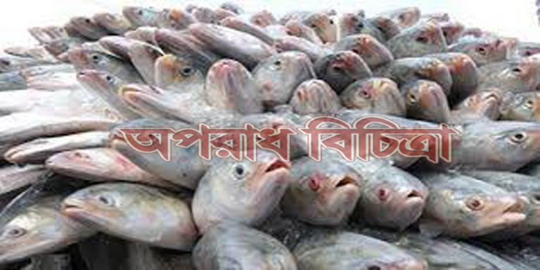 ইলিশ কমিয়েছে মাছের দাম!