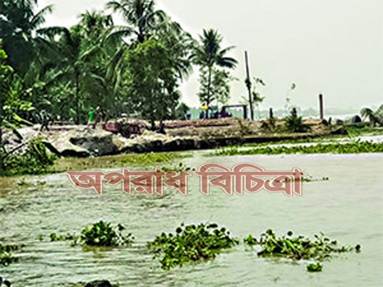 থেমে থেমে মানুষের ঘরবাড়ি পদ্মার ভাঙনে বিলীন হচ্ছে