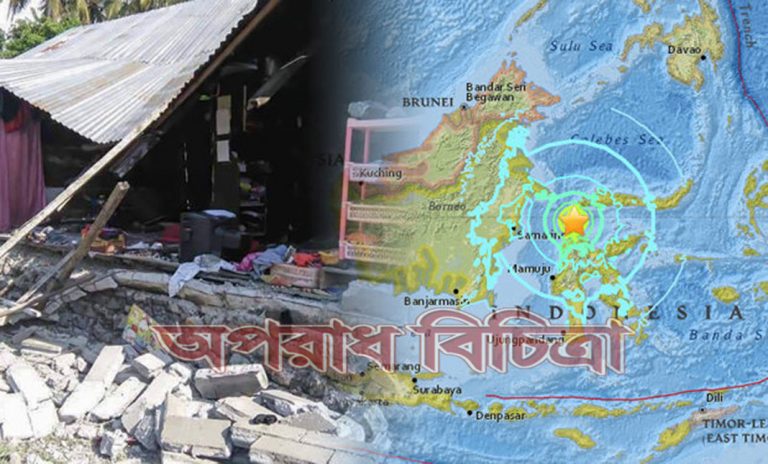 ইন্দোনেশিয়ার ৭ দশমিক ৫ মাত্রার শক্তিশালী ভূমিকম্পে অন্তত ৩০ জনের প্রাণহানি