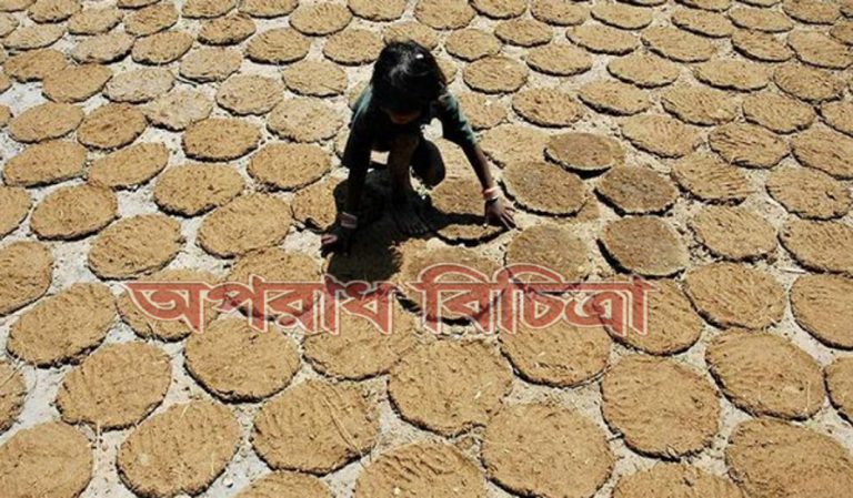 গোবর, গো-মূত্র দিয়ে তৈরি হচ্ছে সাবান