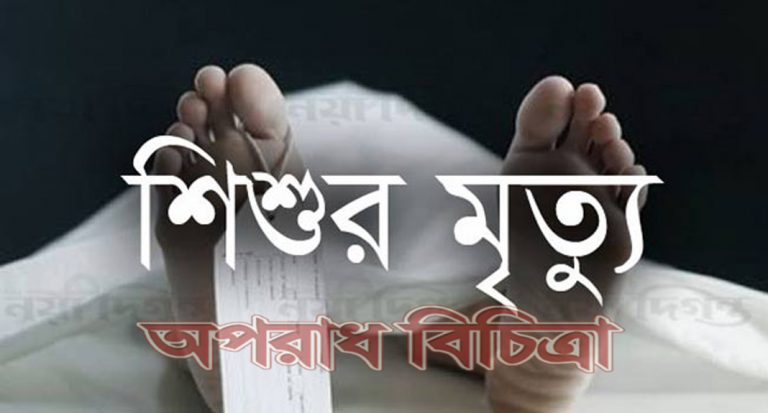 ভিমরুলের কামড়ে শিশুর মৃত্যু