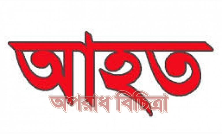 রাজাপুর প্রতিপক্ষের হামলায় মুক্তিযোদ্ধাসহ আহত ৩