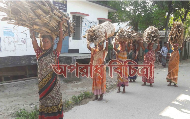 রৌমারীতে সংখ্যা লঘু জেলে পরিবারের দূর্দিন