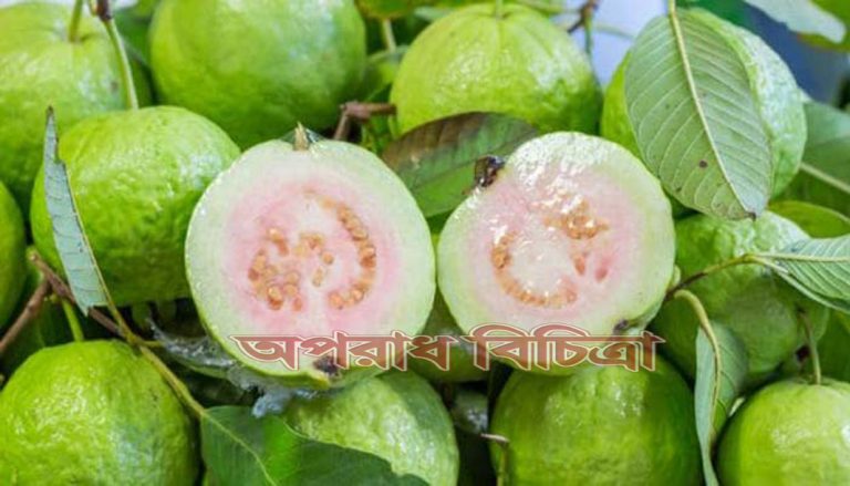জেনে নিন প্রোটিনসমৃদ্ধ যেসব ফল ওজন কমায়