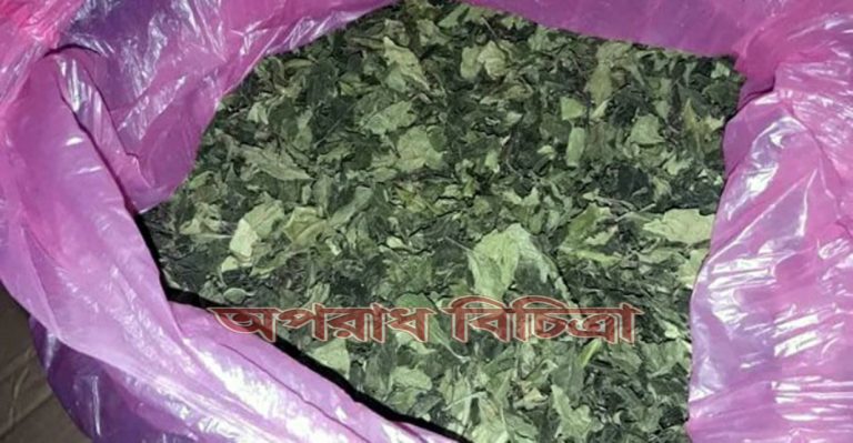 আইনটি পাস হলে মাদকের গডফাদার ও রাঘব বোয়ালদের বিচারের আওতায় আনা সহজ হবে