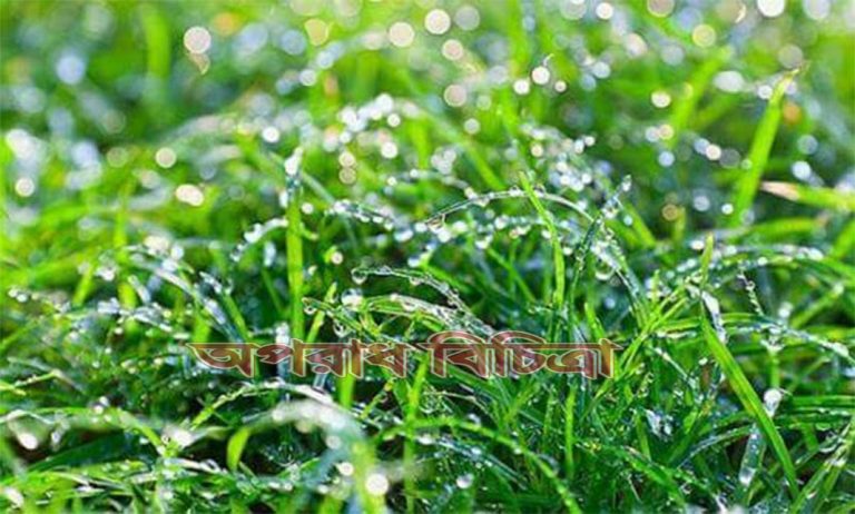 জেনে নিন যে সব খাবার শীতের জড়তা কাটাবে