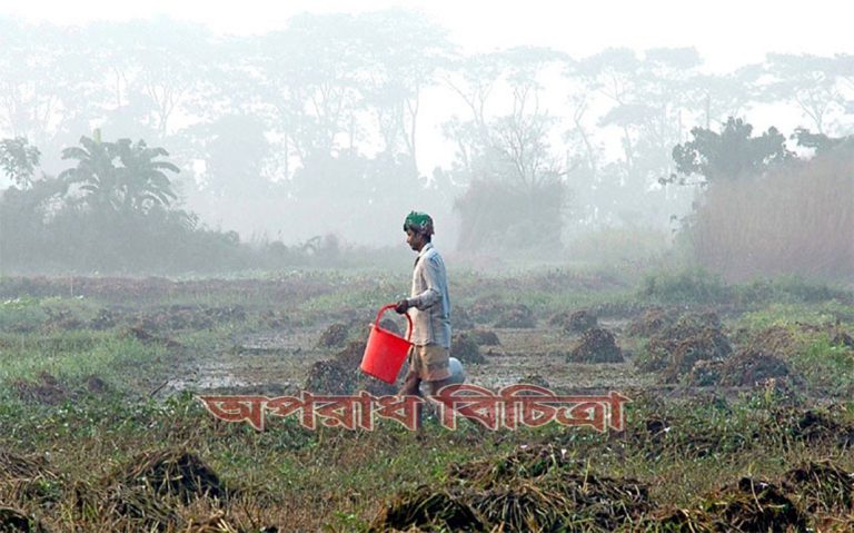 হেমন্তেই এবার আগাম শীতের কামড় শুরু হয়ে গেছে