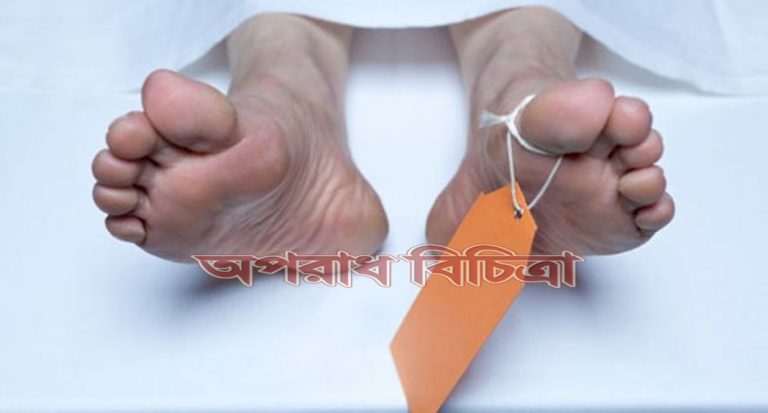 সড়ক দুর্ঘটনায় এক নারীর মৃত্যু