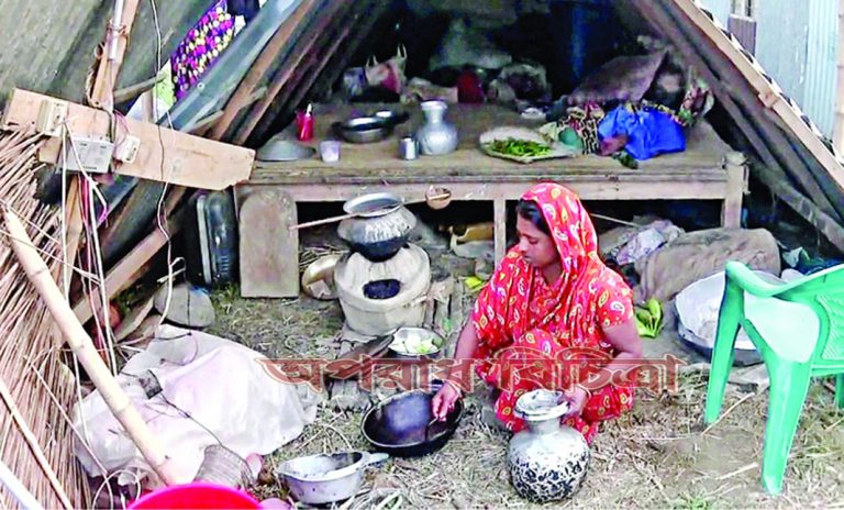 পদ্মার ভয়াবহ ভাঙনের শিকার কয়েক হাজার মানুষ দিশাহারা